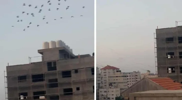 View from Gaza: 'I can't get out' It's terrible to have to choose between your life and your homeland