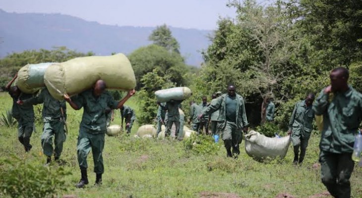 Sierra Leone Police Bust Marijuana Farm In Community Sting