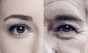 Researchers Identify Eight Measures Capable of Slowing Aging by Up to Six Years