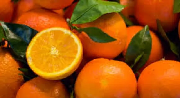 US Study Reveals Almost 40% of Conventional Baby Food Contains Toxic Pesticides