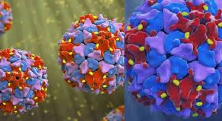 Sierra Leone’s Health Authorities Confirm a Case of Poliovirus (PV3) in The Country