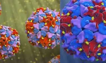 Sierra Leone’s Health Authorities Confirm a Case of Poliovirus (PV3) in The Country