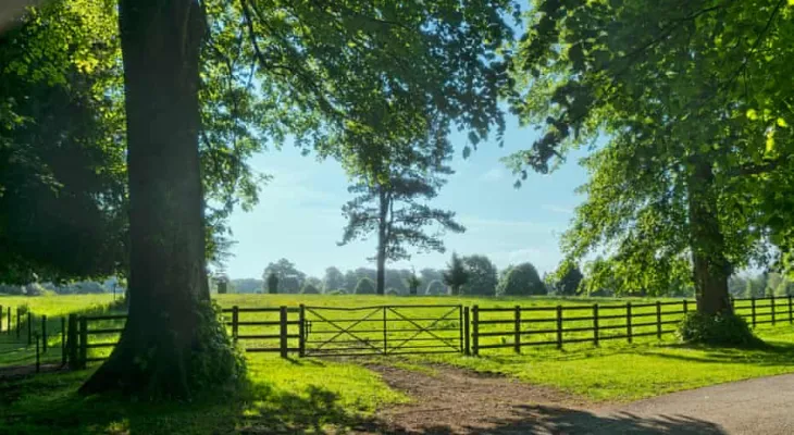 Limited Access to England's National Landscapes Sparks Concern among Activists