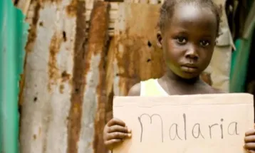 Sierra Leone's Malaria Death Rate: A Critical Assessment