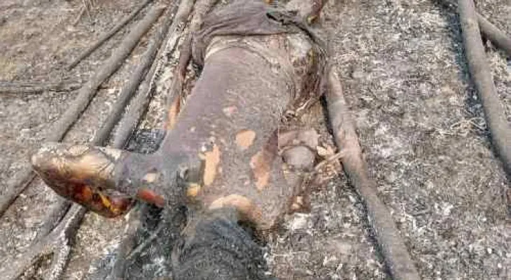 Tragic Fire Claims Lives of Pregnant Woman and Two Children in Yoni Chiefdom