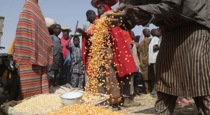 Millions Face Hunger in Sierra Leone and Other African Countries, UN Warns