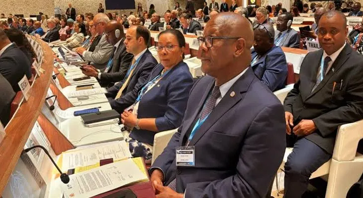 Sierra Leone’s Health Minister Participates at 77th World Health Assembly