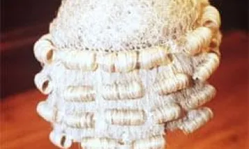 Suspected Fraudulent Lawyer Appears in Court