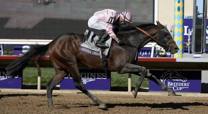 Sierra Leone Triumphs in Thrilling Breeders' Cup Classic