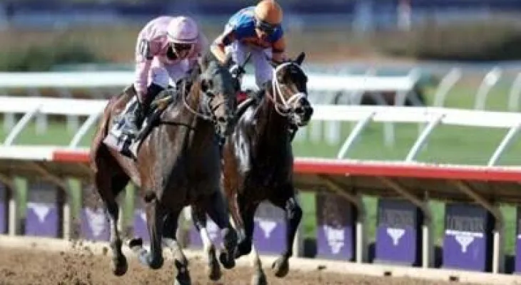 Sierra Leone Secures Breeders’ Cup Classic Victory and Eclipse Award as Top 3-Year-Old