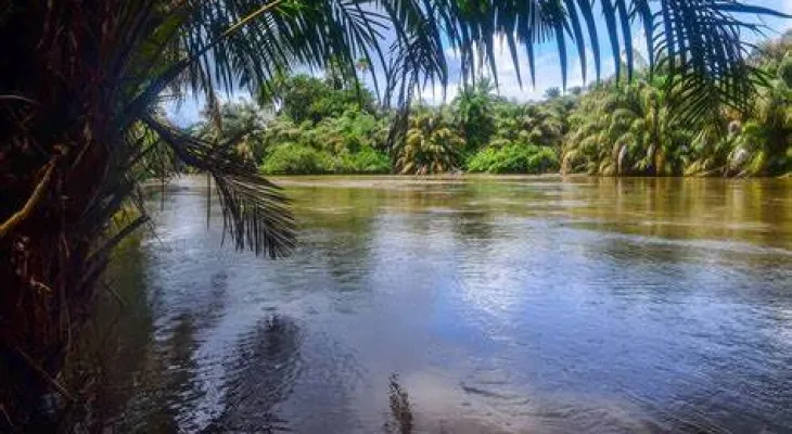 Tiwai Island Earns Global Recognition as World Heritage Site