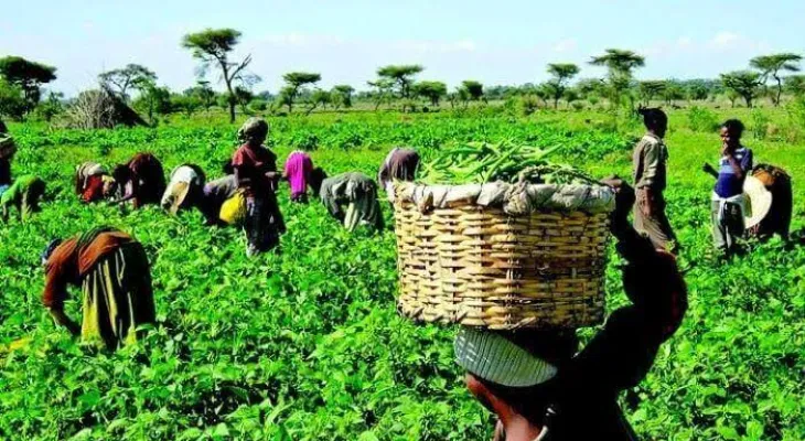 New Agri-Tech Centre of Excellence Opens in Masiaka to Empower Young Farmers
