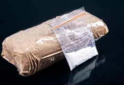 Foreign Minister Dismisses Claims Linking Drug Suspect to Sierra Leone Diplomatic Passport
