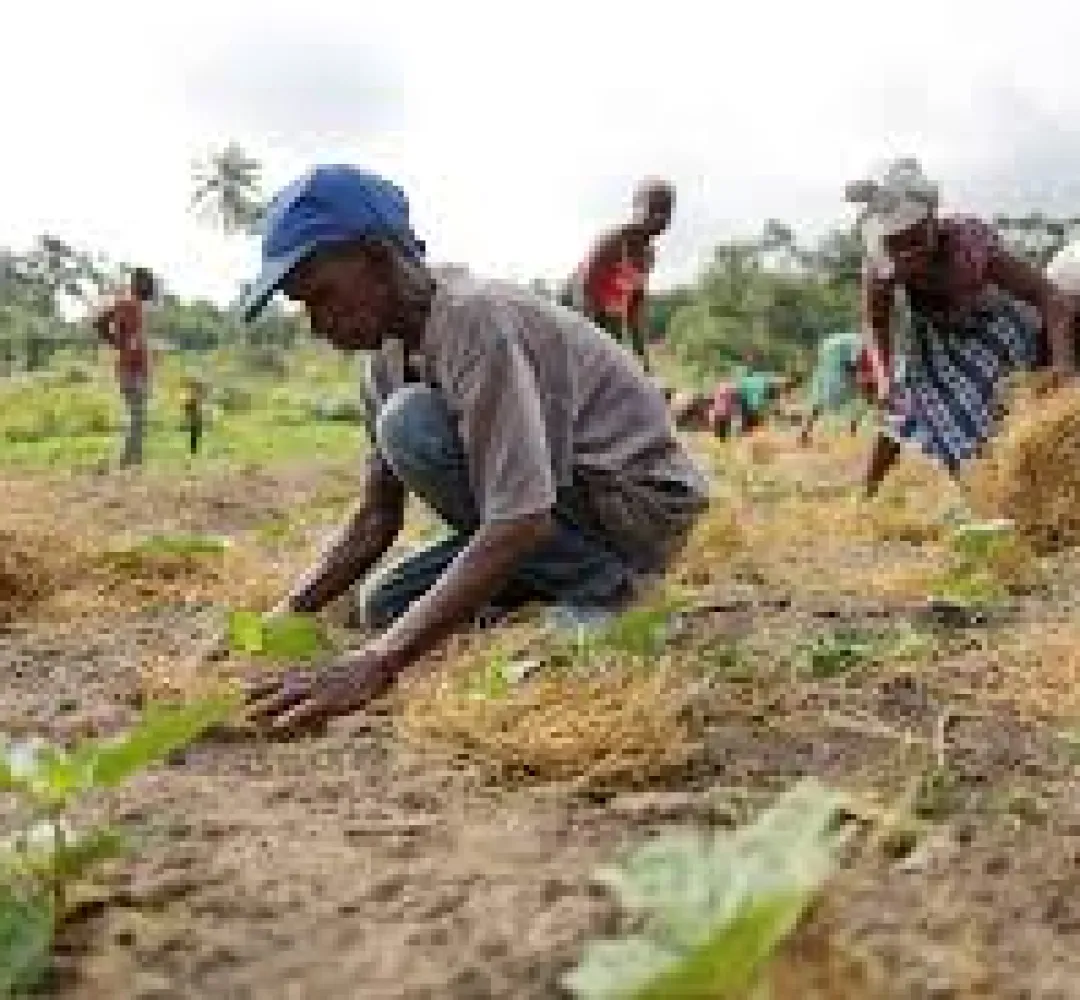 Man Questioned After Posing as Statistics Field Worker in Freetown