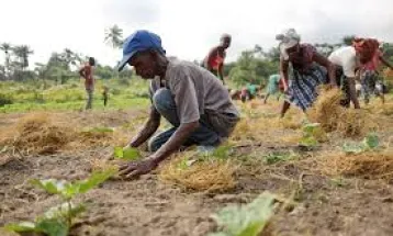 Man Questioned After Posing as Statistics Field Worker in Freetown